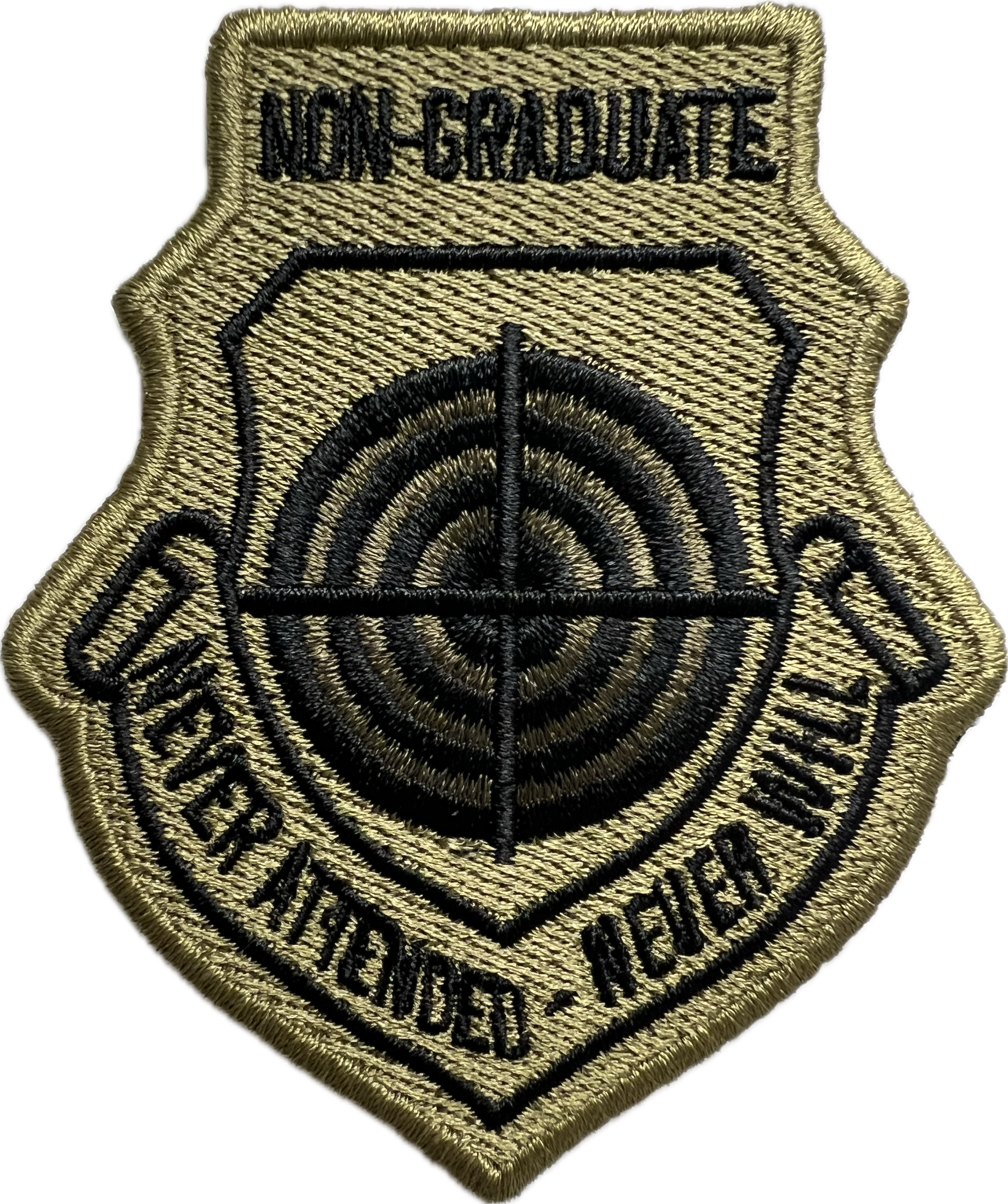 U.S. Air Force Weapons School --------- NON-Graduate Patch OCP