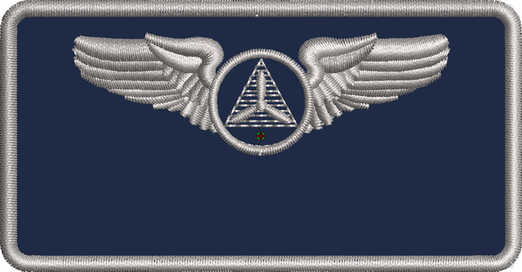 Civil Air Patrol *WINGS* Name Tag