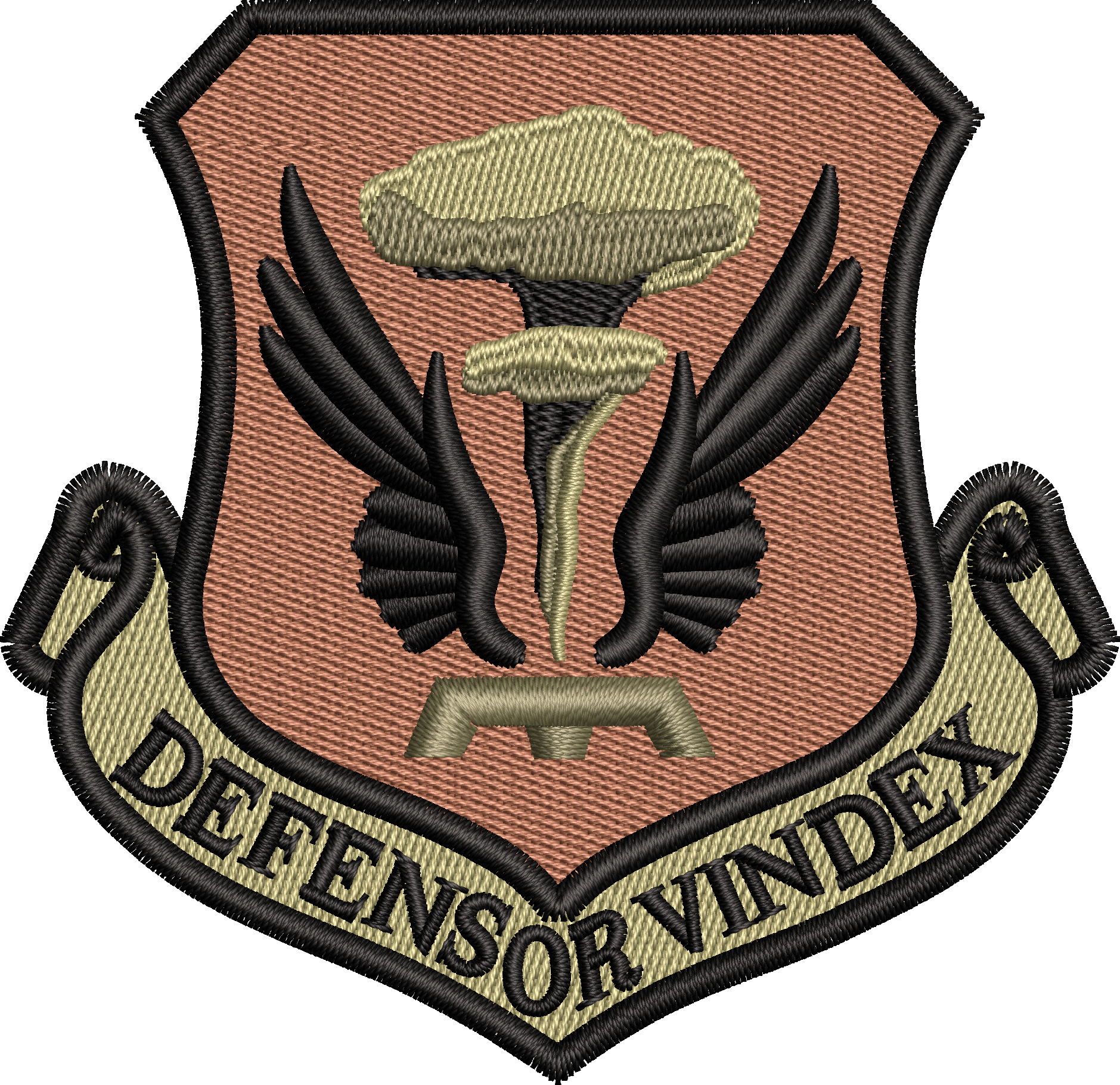 509th Bombardment Wing (DEFENSOR VINDEX) - OCP patch