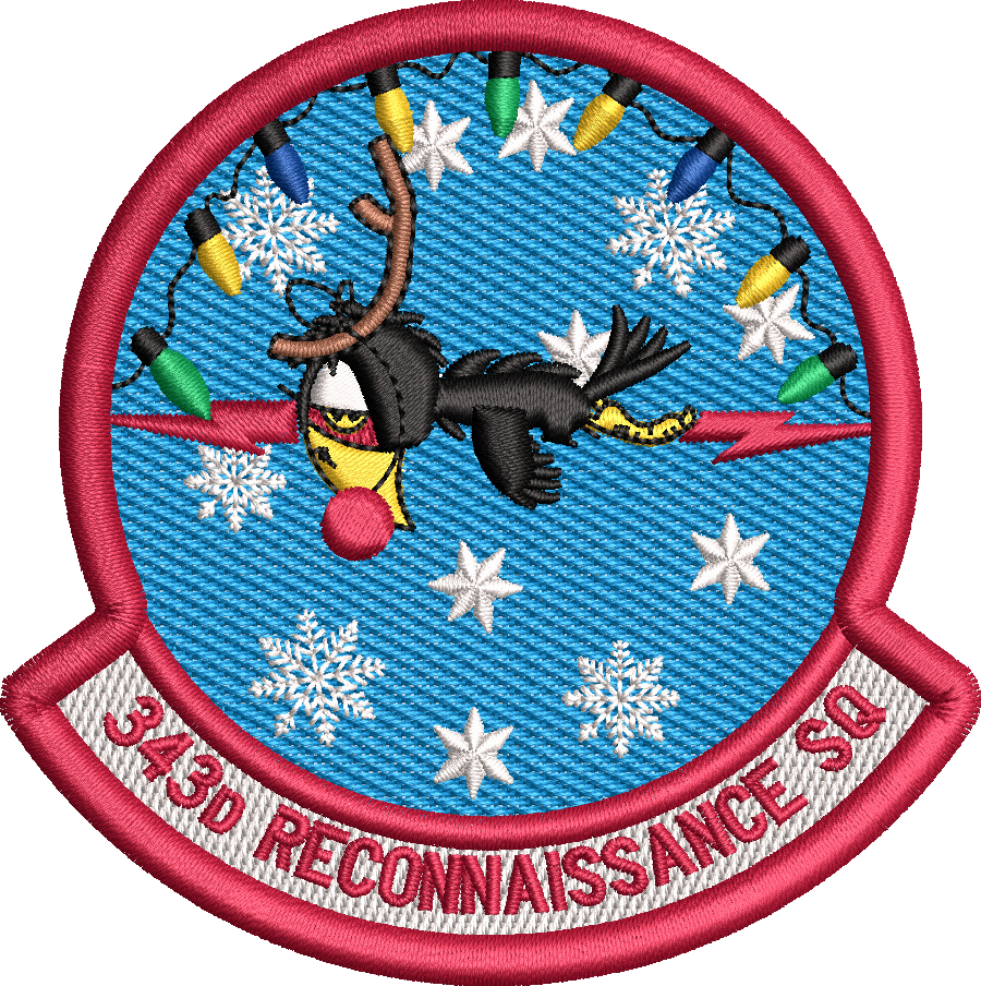 343D Reconnaissance Sq
