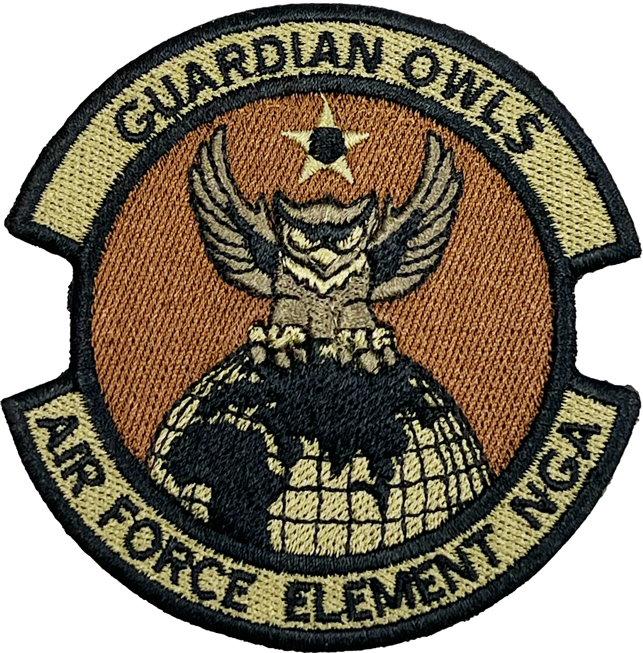 Air Force Element NGA - Guarding Owls OCP