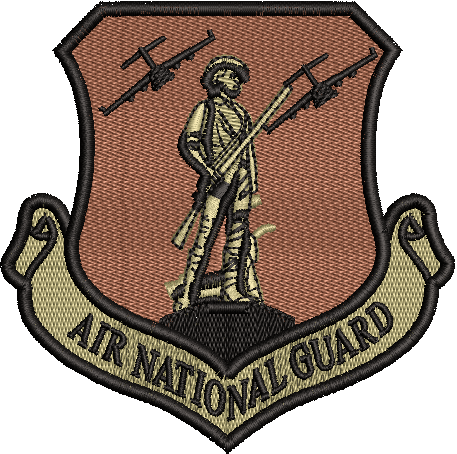 Air National Guard C-17 - OCP