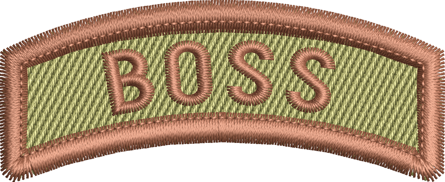 BOSS - Rocker Tab
