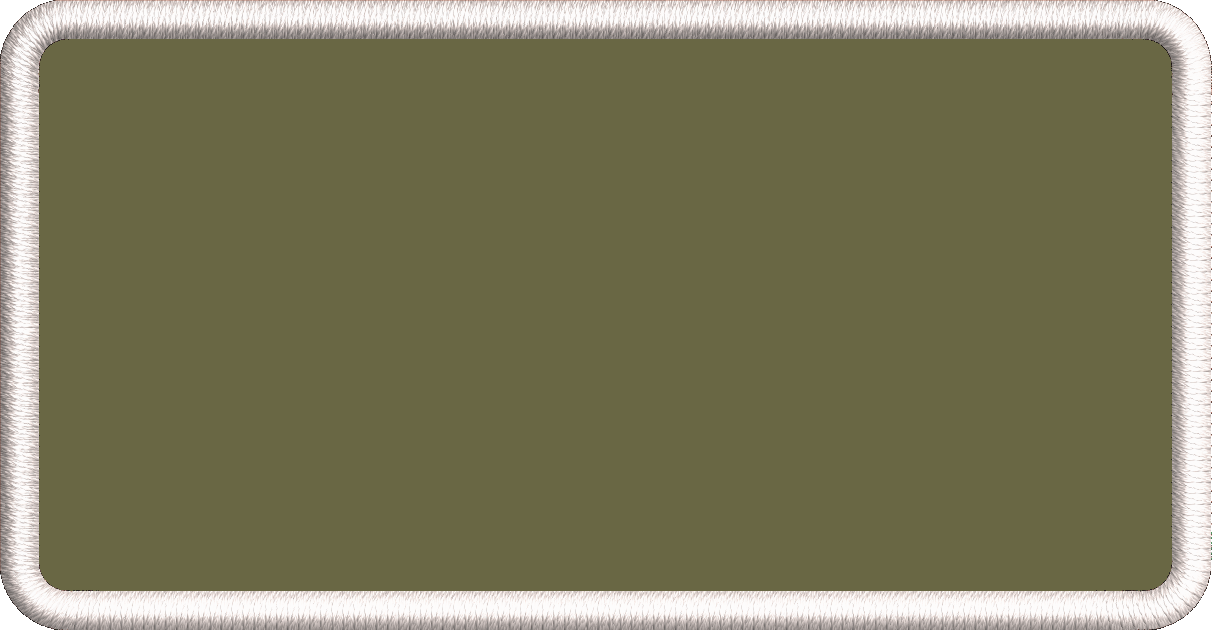 USAF Name Tags - Command Pilot