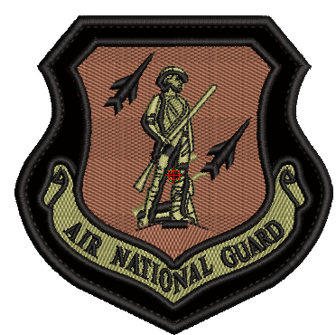 Air National Guard Patch - A2 Leather Jacket OCP