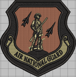 Air National Guard Patch - A2 Leather Jacket OCP