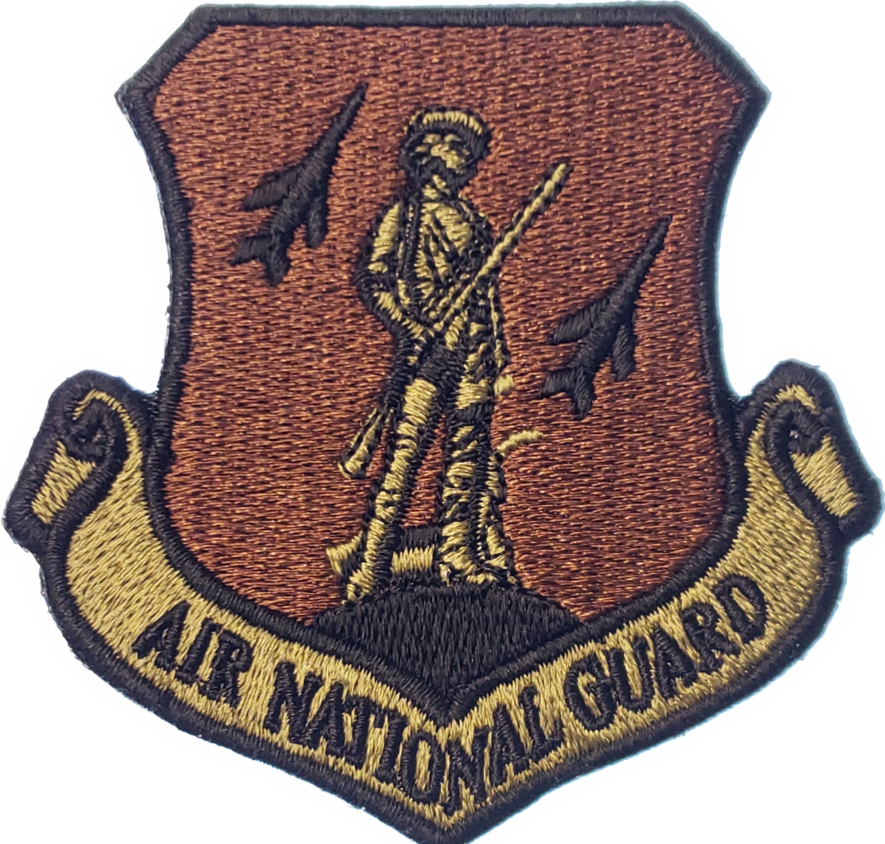 Air National Guard Patch - OCP