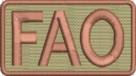 FAO - Duty Identifier Patch (Foreign Area Officer)