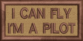 I Can Fly, I"m a Pilot - Reaper Patches