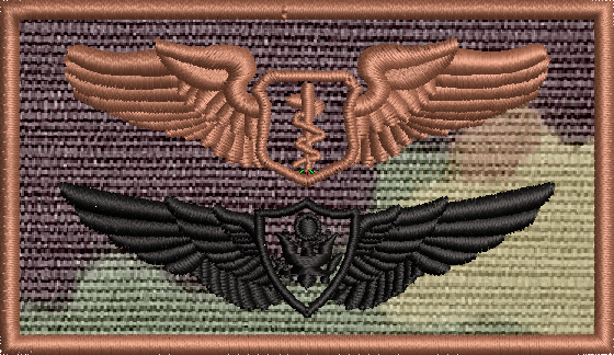 Air Force Flight Surgeon wings & Army Aircrew Badge