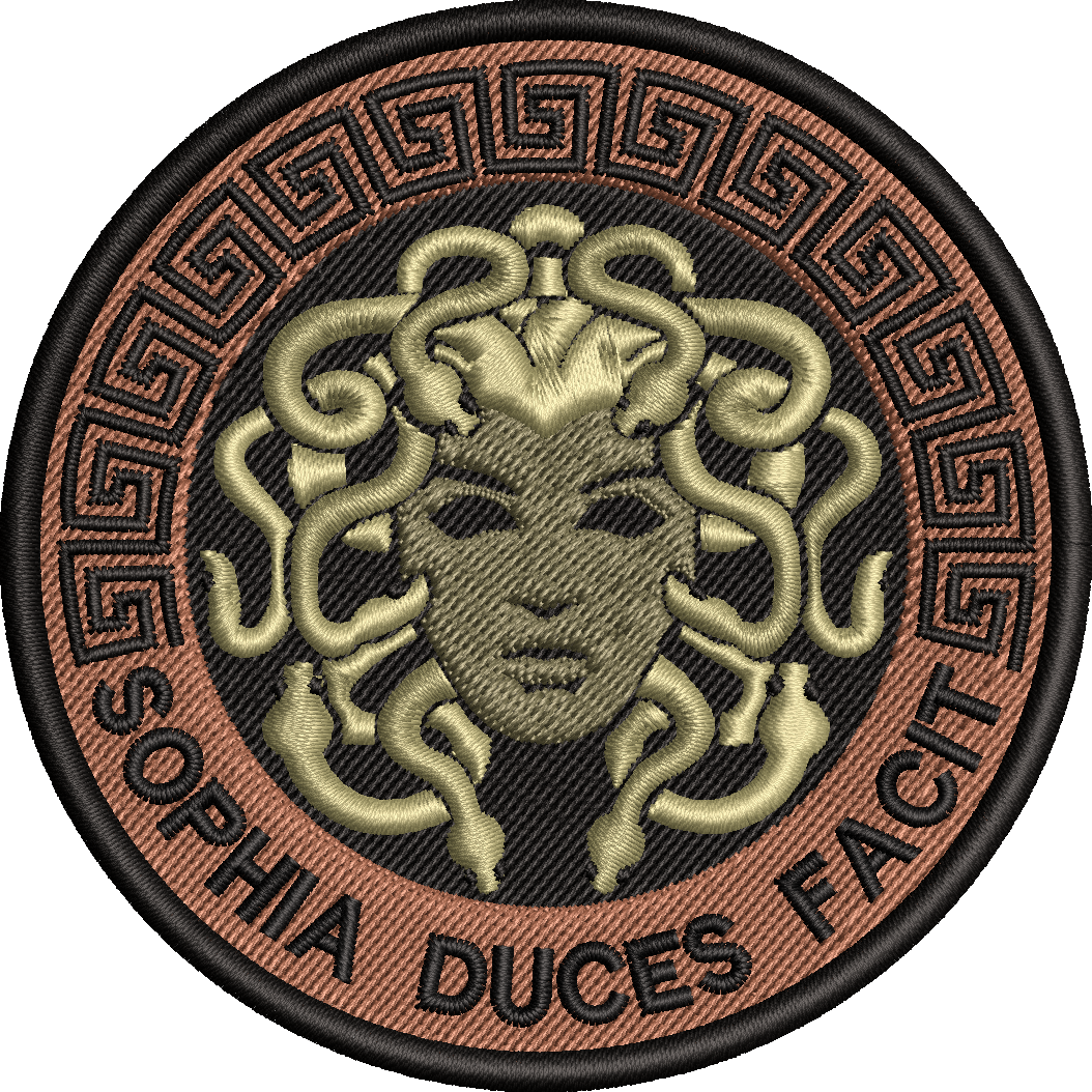 USAFSAM OE Patch (MEDUSA)