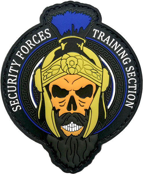 Secureforce Patch 436th Security Forces Training Section - PVC Patch