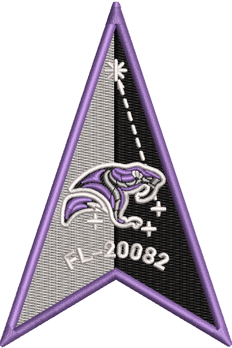 SFJROTC Delta Patch (FL-20082)