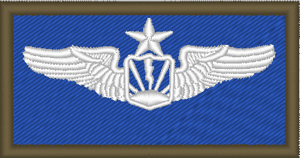 RPA Wings (22d ATKS) - Reaper Patches