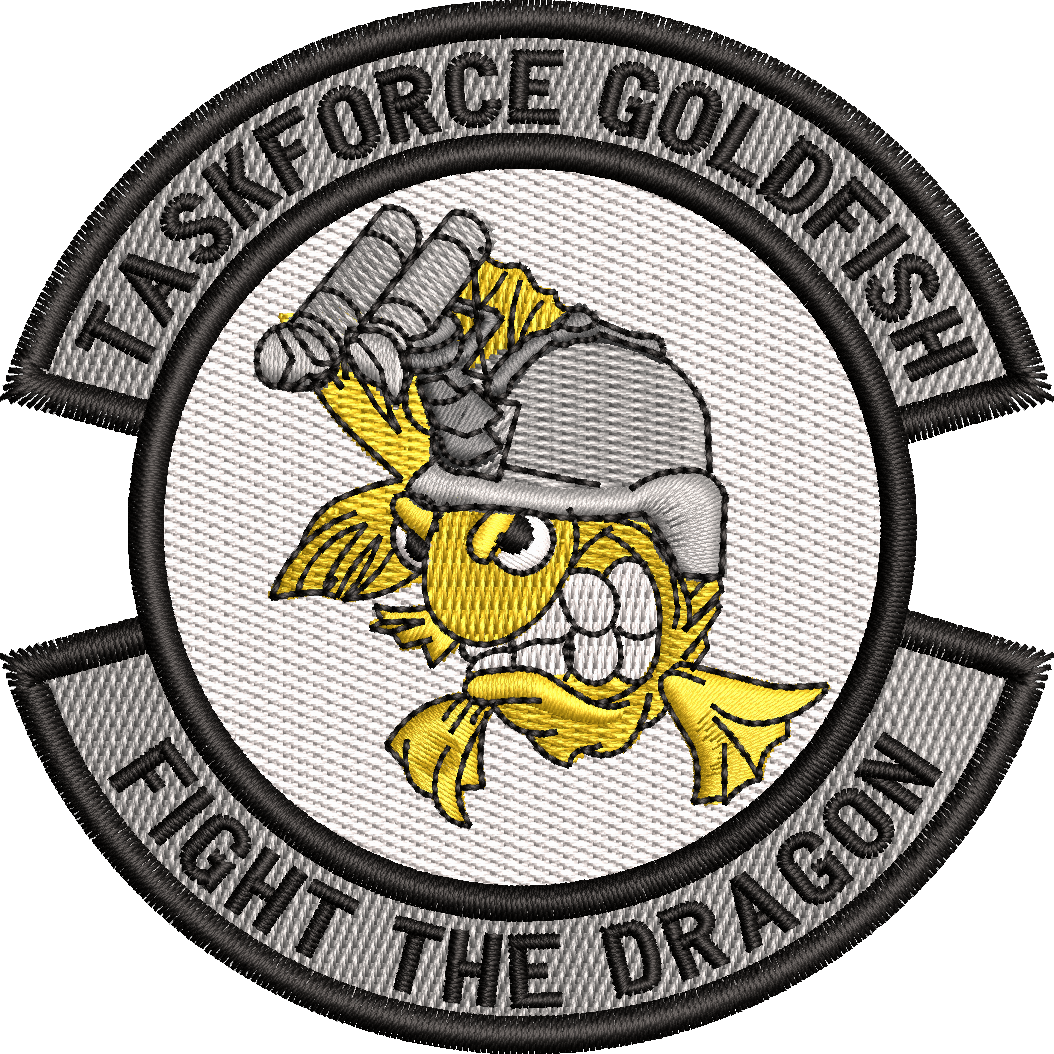 22d SFS - Task Force Goldfish