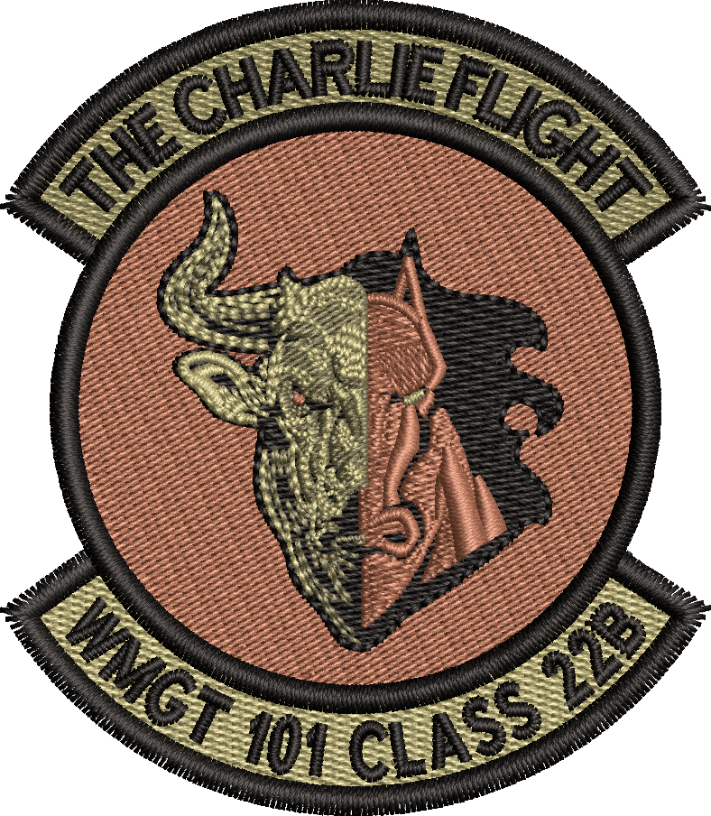 WMGT 101 Class 22B - The Charlie Flight