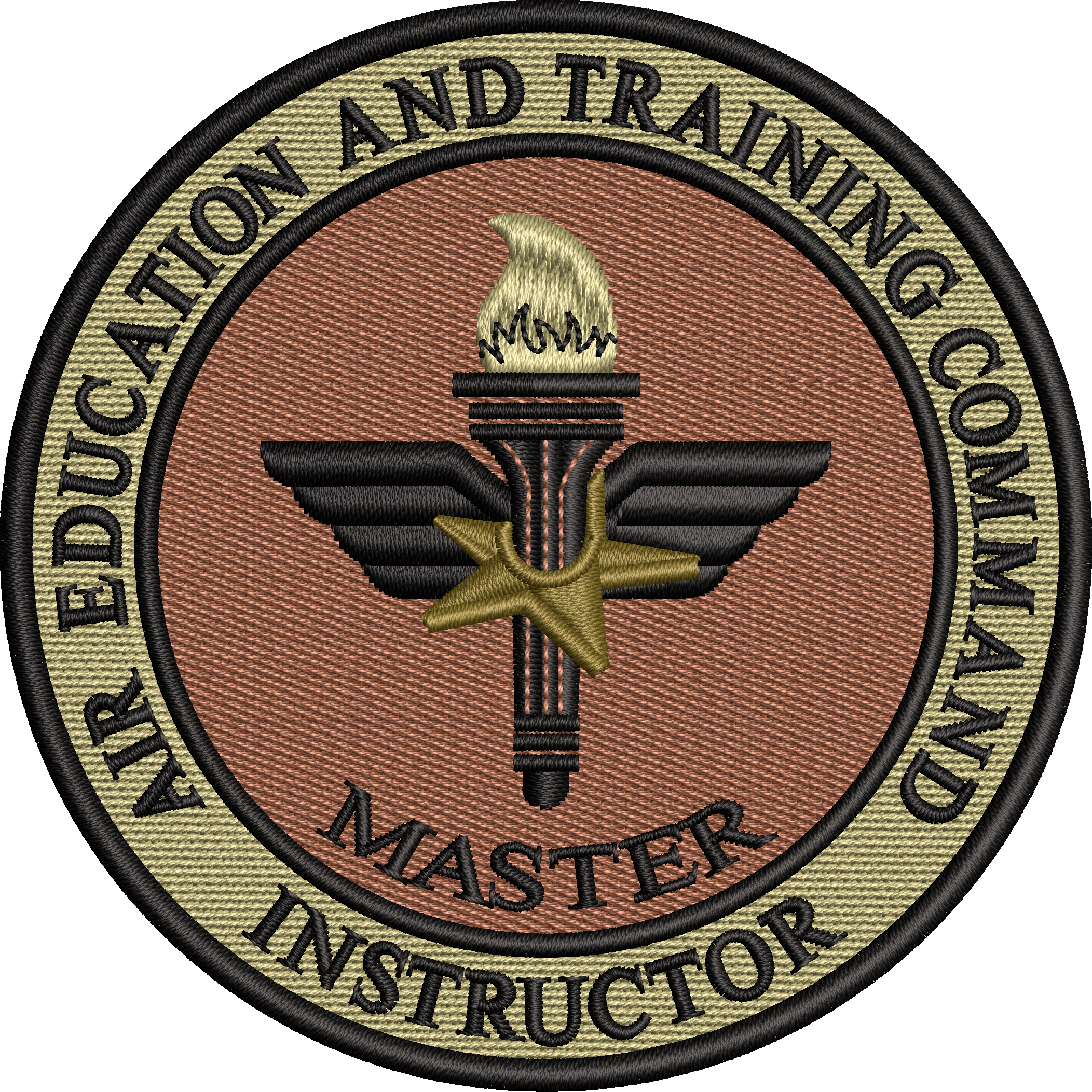 Air Education &  Training Command (AETC) Master Instructor - LARGE- OCP