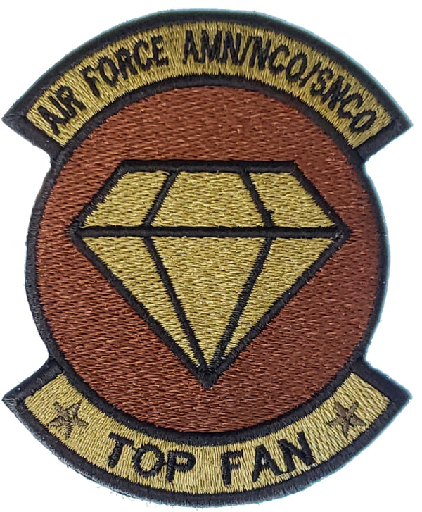 AIR FORCE AMN/NCO/SNCO TOP FAN- Patch